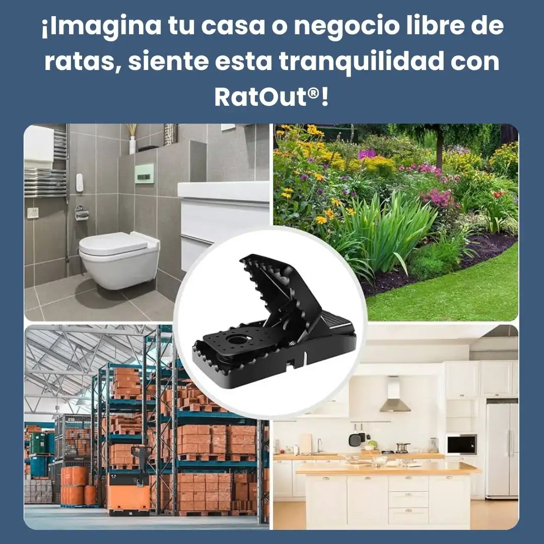 Pack 4 trampas ratón - Imagen 2